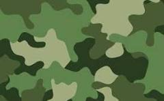 green-camo